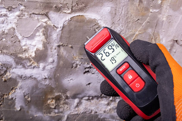 Best Same-Day Mold Removal  in Baytown, TX