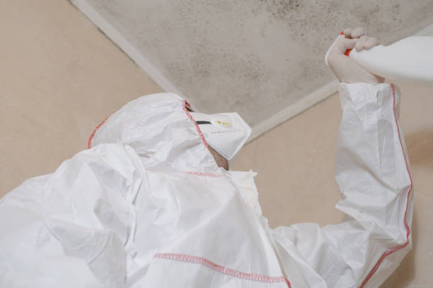 Best Professional Mold Removal  in Baytown, TX